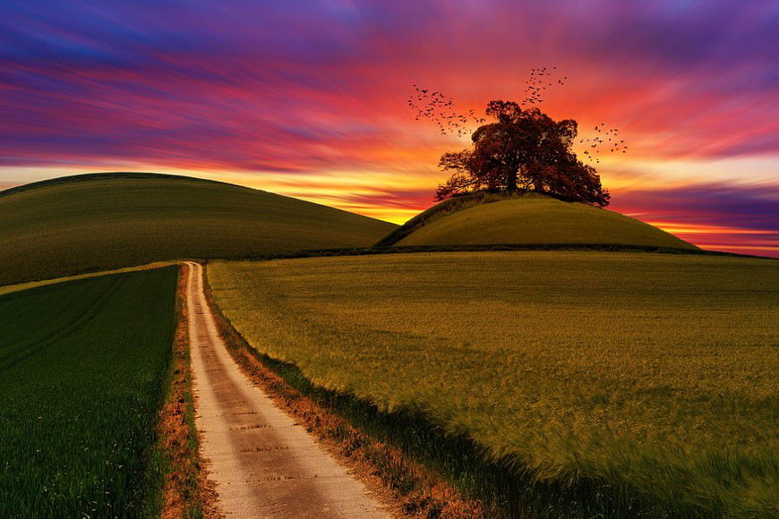 Dramatic Sunset Over Rolling Hills with Solitary Tree