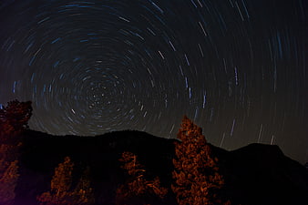 Star Trails Long Exposure Night Sky Over Silhouetted Forest