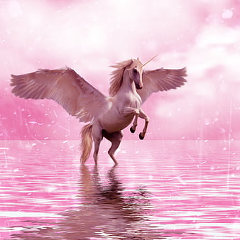 Magical Pink Winged Unicorn Reining on Water