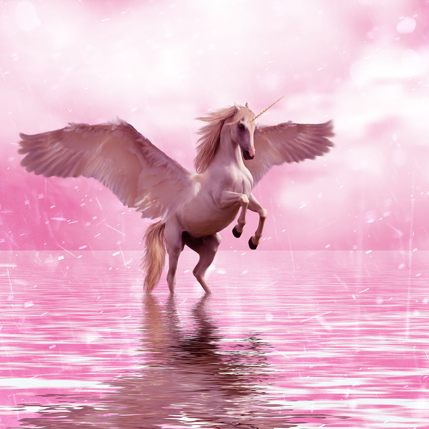 Magical Pink Winged Unicorn Reining on Water