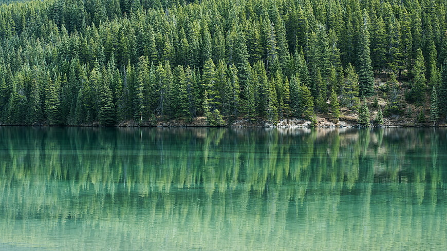 Serene Lake with Pine Forest Reflection in Turquoise Water