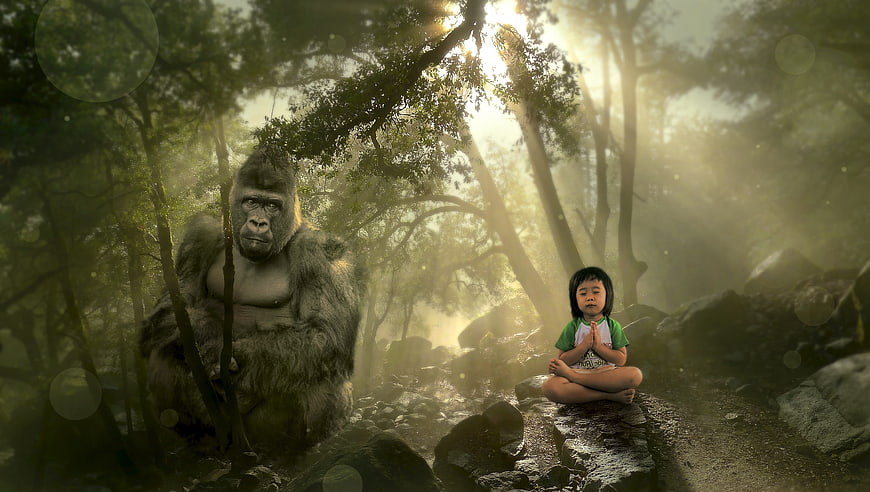Child meditating with gorilla in mystical forest
