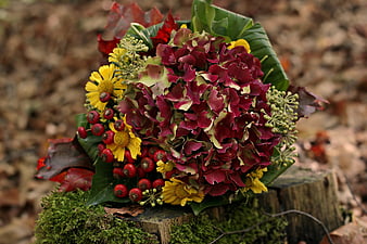 Autumn Flower Bouquet on Mossy Tree Stump in Forest