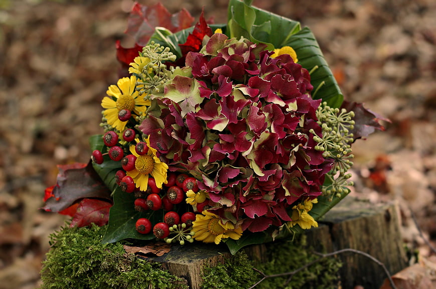 Autumn Flower Bouquet on Mossy Tree Stump in Forest