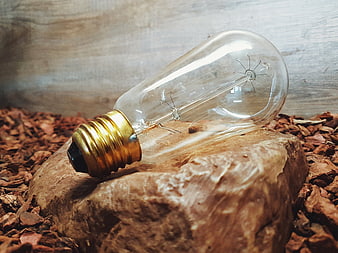 Vintage Edison light bulb on rock with wood chips