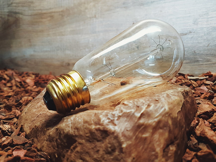 Vintage Edison light bulb on rock with wood chips