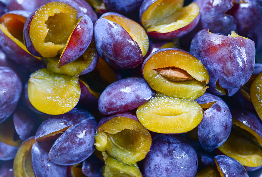 Close-up of fresh ripe purple plums with yellow flesh