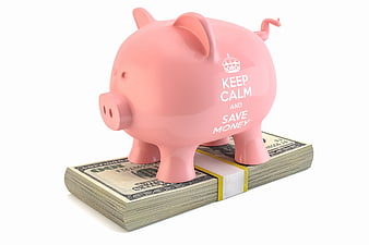 Pink Piggy Bank on Stack of US Dollar Bills