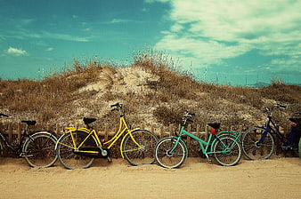 Colorful Bicycles Parked on Sandy Beach Dunes