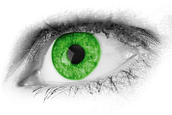 Close-up of a human eye with a vibrant green iris