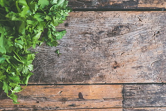Fresh cilantro bunch on rustic wooden background