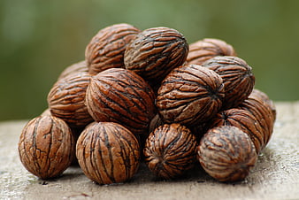Pile of Black Walnuts on Wooden Surface