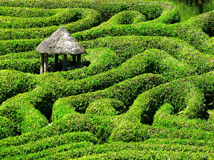 Glendurgan Garden Hedge Maze With Thatched Shelter In Cornwall