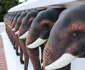 Row of decorative elephant statues peeking over a white wall