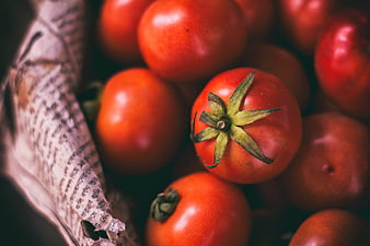 Fresh Red Tomatoes in Crumpled Newspaper
