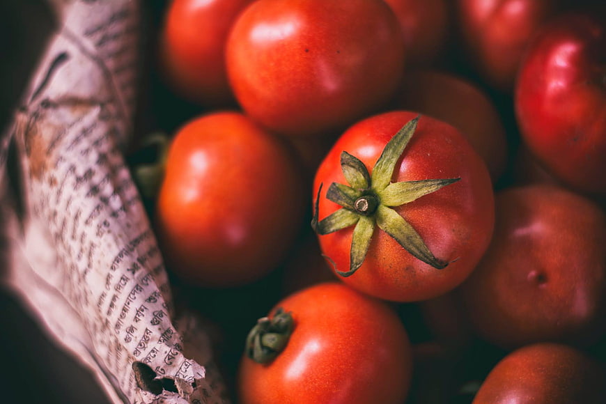 Fresh Red Tomatoes in Crumpled Newspaper