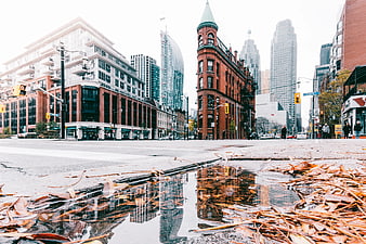 Low angle city street with puddle reflection and autumn leaves