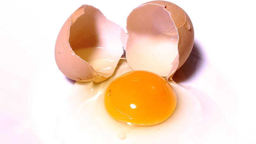 Fresh Cracked Egg with Yolk and Shell on White Background