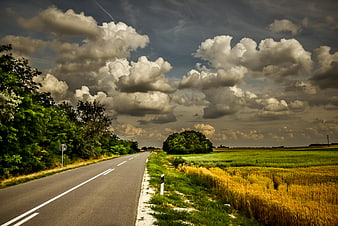Dramatic Country Road Through Golden Wheat Fields