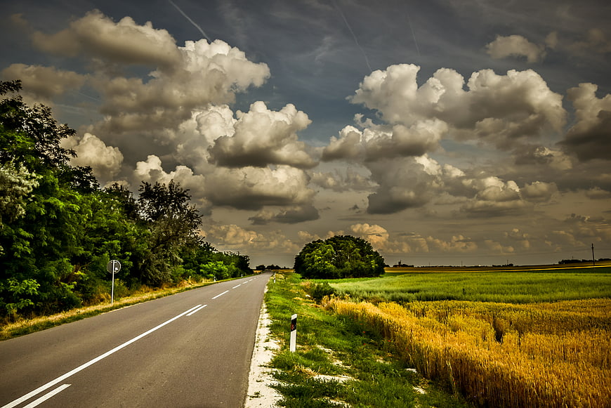 Dramatic Country Road Through Golden Wheat Fields