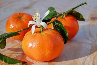 Fresh Mandarins with White Blossom on Wooden Table