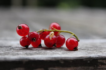 Fresh red currants with a tiny snail on rustic wood