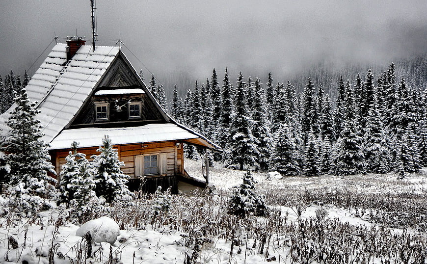 Snowy wooden cabin in winter forest landscape