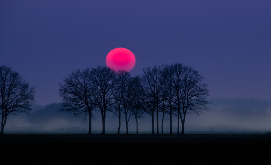 Vibrant pink sun rising over silhouetted trees in foggy landscape