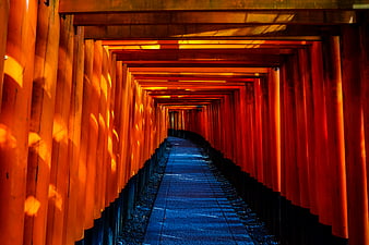 Vermilion Torii Gate Tunnel at Fushimi Inari Shrine Kyoto