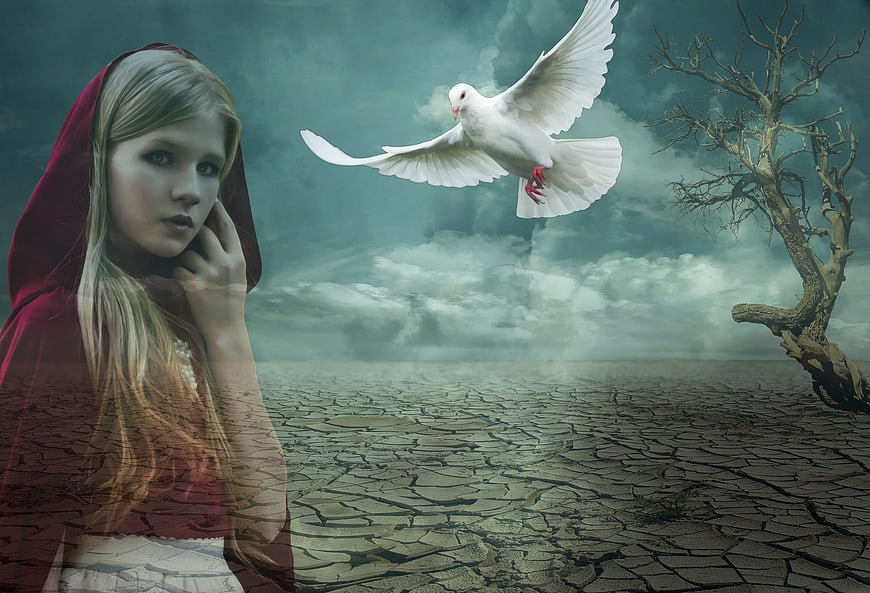 Girl in Red Hood with White Dove in Surreal Desert