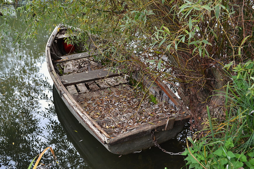 Old wooden boat filled with leaves by riverbank