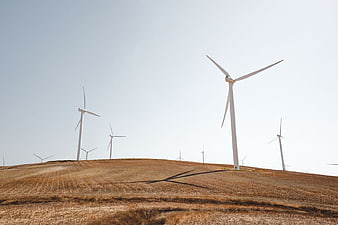 Wind Turbines on Golden Hillside