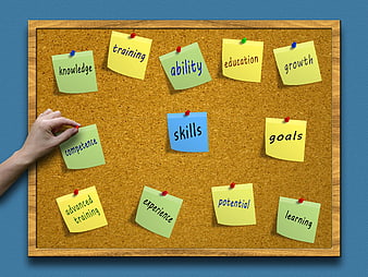 Corkboard with sticky notes for skills, training, and business goals