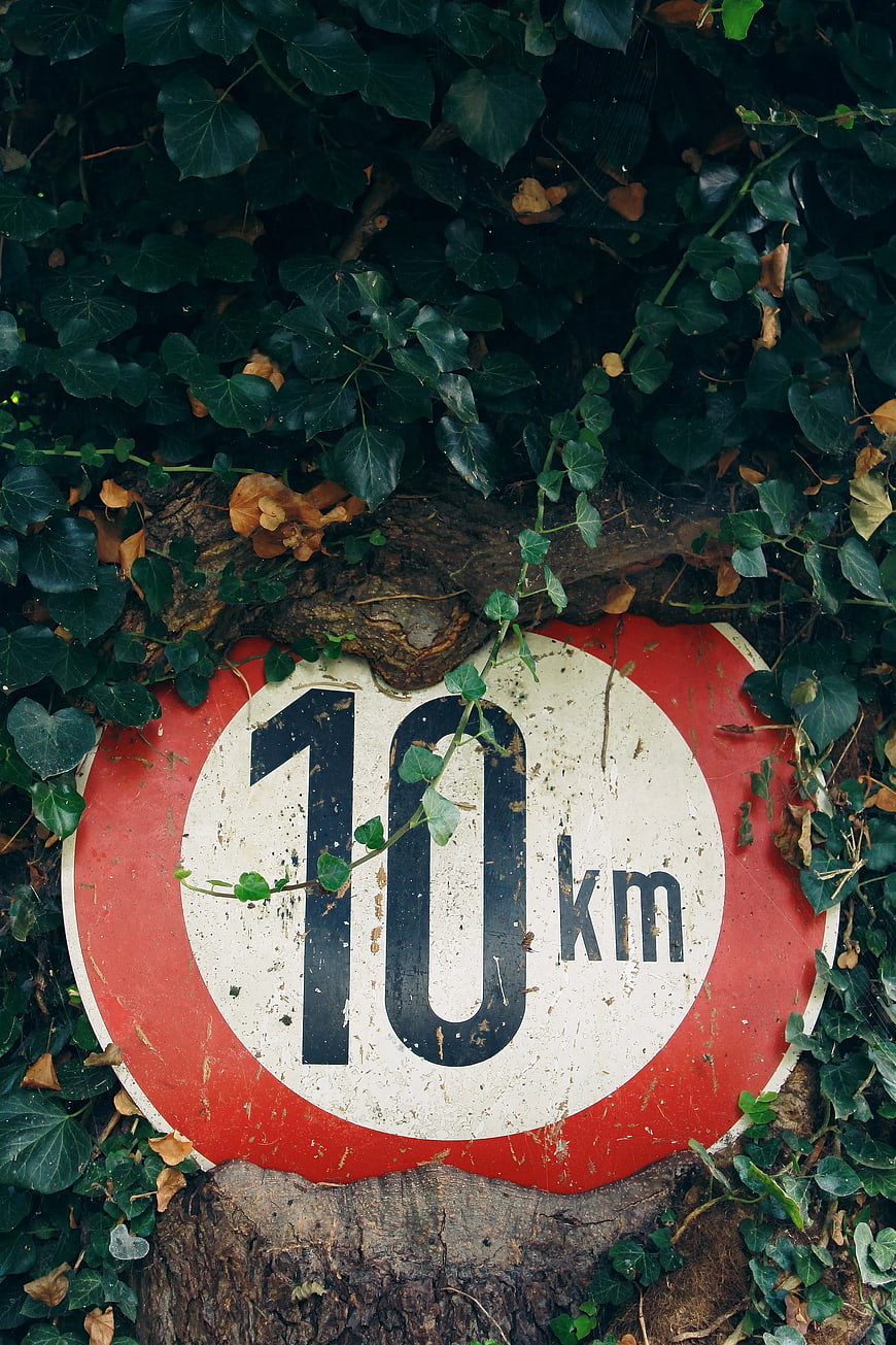 Weathered 10 km road sign covered in ivy