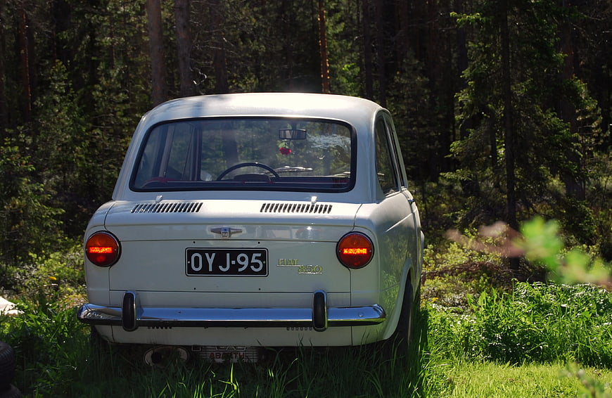 Vintage Fiat 850 Rear View in Forest