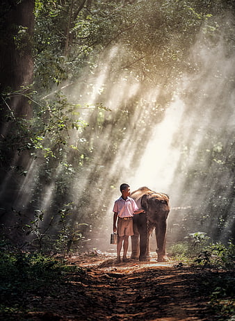 Boy with Elephant Calf in Sunlit Jungle Mist