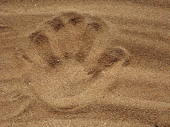 Handprint Imprint In Wet Sand Texture Close Up