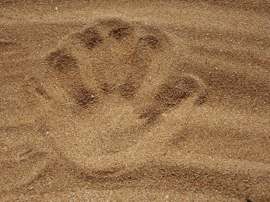 Handprint Imprint In Wet Sand Texture Close Up