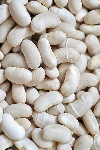 Close-up of raw white kidney beans texture