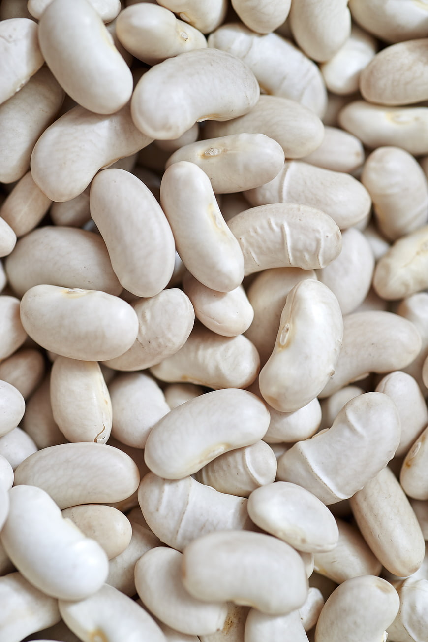 Close-up of raw white kidney beans texture