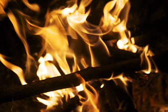 Close-up of burning wood logs in a fire at night