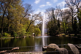 Serene Park Pond with Tall Fountain and Spring Trees