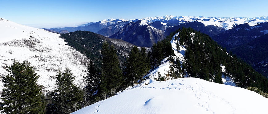 Panoramic winter mountain landscape with snow and pine trees