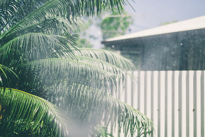 Tropical Palm Leaves with Water Spray and White Fence