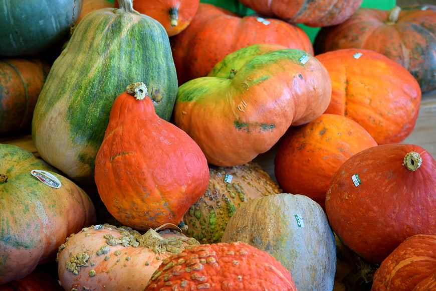 Variety of Fresh Pumpkins and Squash at Market