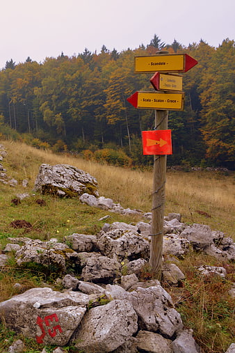Hiking trail signpost in autumn forest landscape