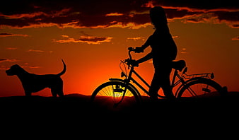Silhouette of Woman Walking Bicycle with Dog at Sunset
