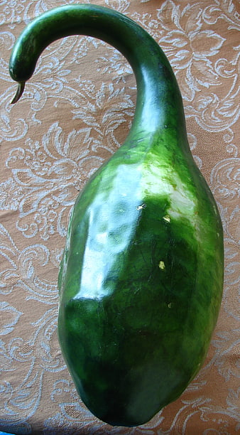 Green Swan Gourd on Patterned Fabric Background