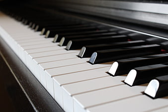 Close-up of Piano Keys with Shallow Depth of Field