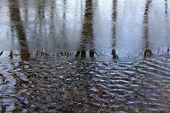 Rippling water surface with tree reflections in winter